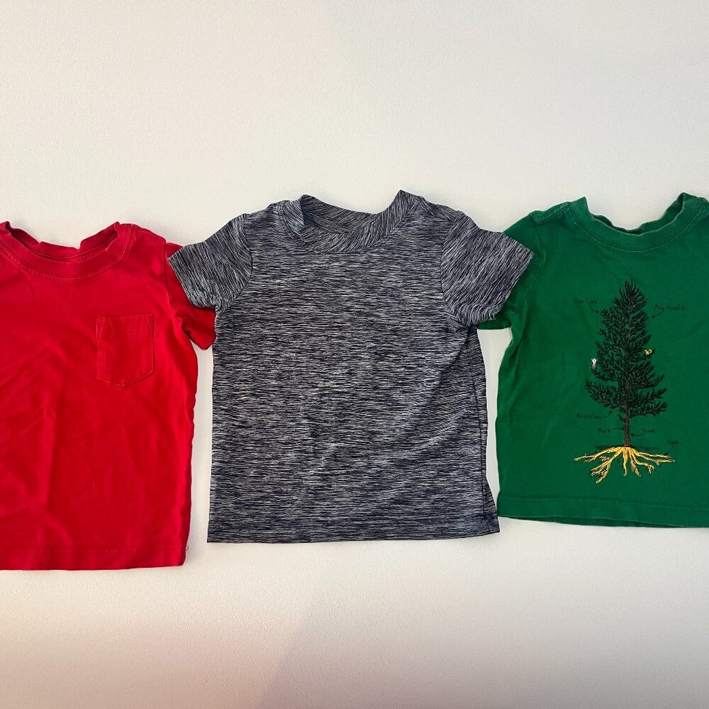 bundle of three Hanna Andersson t-shirts